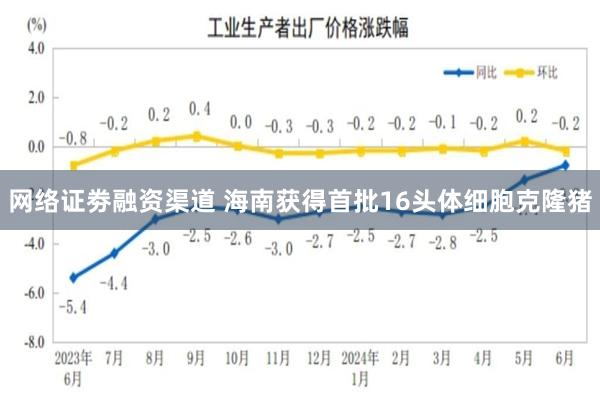 网络证劵融资渠道 海南获得首批16头体细胞克隆猪