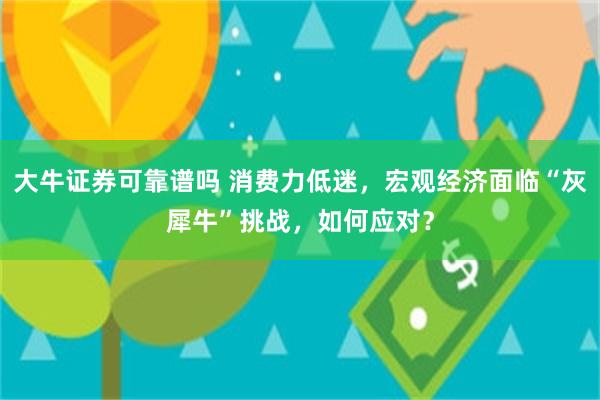 大牛证券可靠谱吗 消费力低迷，宏观经济面临“灰犀牛”挑战，如何应对？