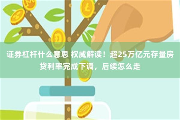 证券杠杆什么意思 权威解读！超25万亿元存量房贷利率完成下调，后续怎么走